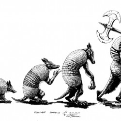 Inktober2022 Armadillo